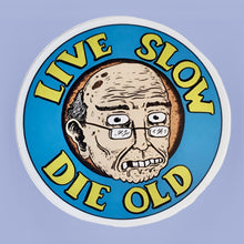 Load image into Gallery viewer, Sticker Pack #2 (Random pack)